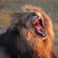 Necip Aslan Ejderha kullanıcısının profil fotoğrafı